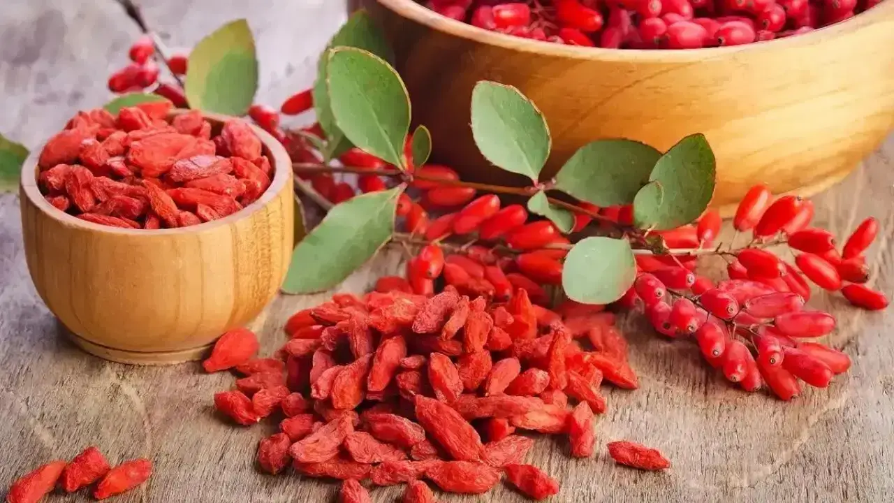 Berberin Nedir? Kilo Kontrolü ve Kan Şekeri Üzerine Bilimsel Değerlendirme Berberin Nedir? Kilo Kontrolü ve Kan Şekeri Üzerine Bilimsel Değerlendirme