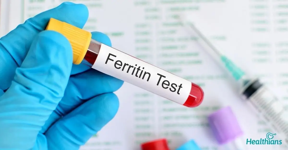 Ferritin Düşüklüğü ve Kilo Verememe: Demir Depoları Tartıyı Nasıl Etkiler?